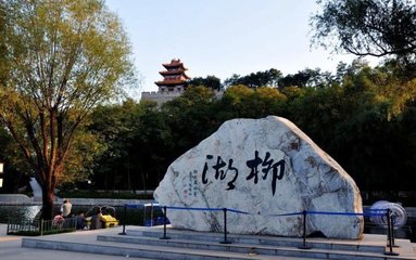 【星月四周年】深冬漫步在柳湖（散文）