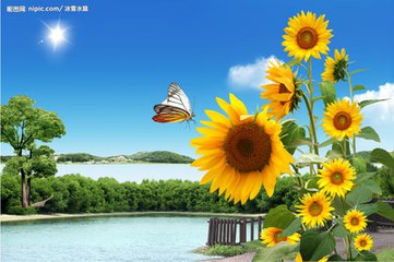 【军警】春日偶感(四)