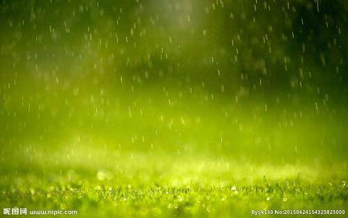 【八一】春雨渺渺（散文）