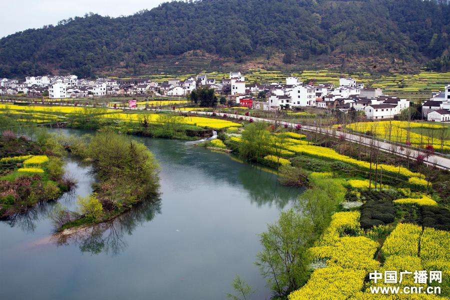 【丁香】彩云之南（二）探秘茶马古道（散文）
