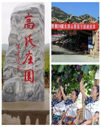 陪着老父亲去爬山