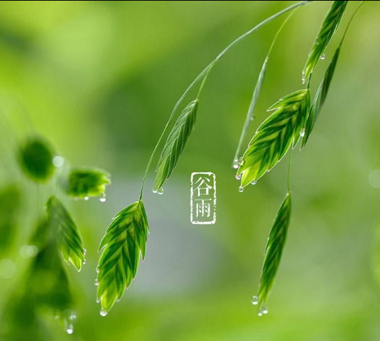 【八一】走进谷雨（外八首·家园）