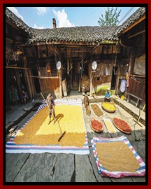 农家小院