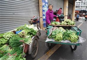 【宁静·真】信任（小说）