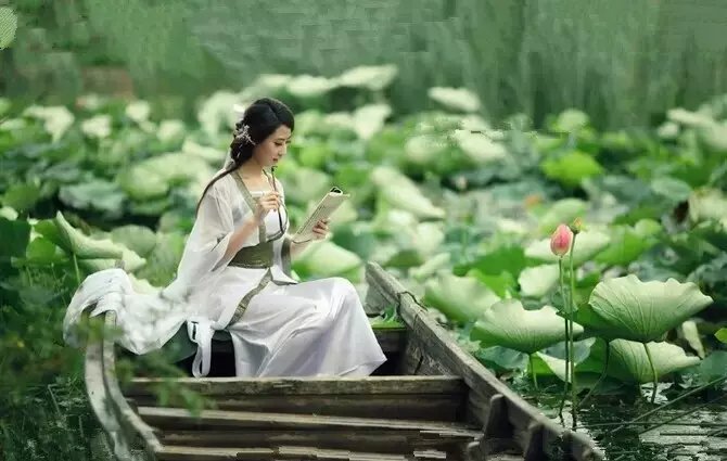 【专栏】初心如莲（外一首）