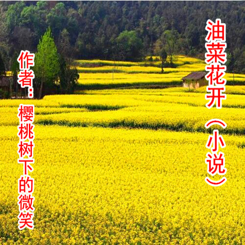 【柳岸•春】油菜花开（小说）