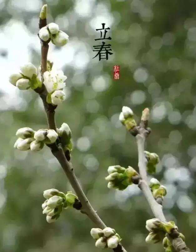 【宁静】立春（诗歌/外三首）