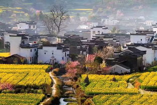 【八一】村庄，一幅水墨丹青（散文）