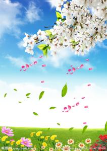 【军警】春天的感觉（散文）