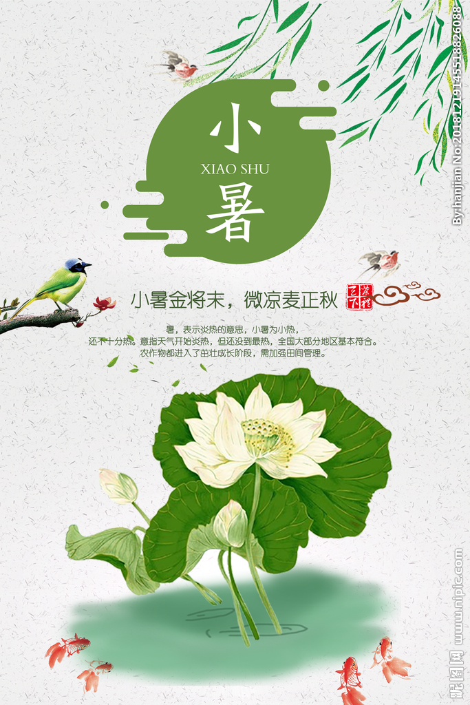 【宁静•新】小暑时节忆高考（散文）