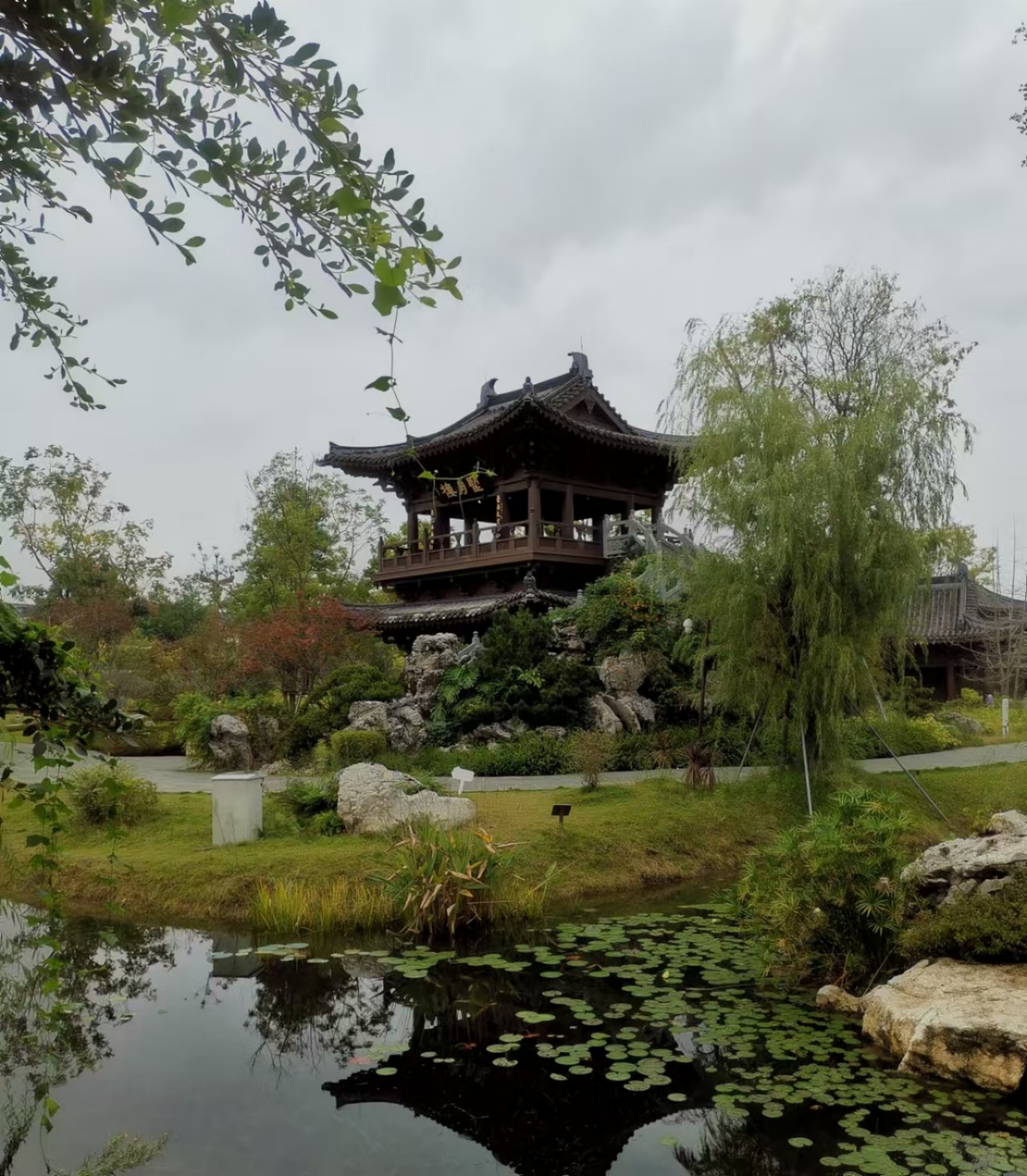 【家园·相约秋天】重阳节聚会易园（散文）