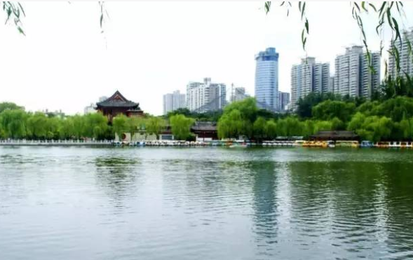 【丹枫】漫步兴庆公园（散文）