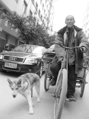 【丹枫】人狗生死情（电影剧本）