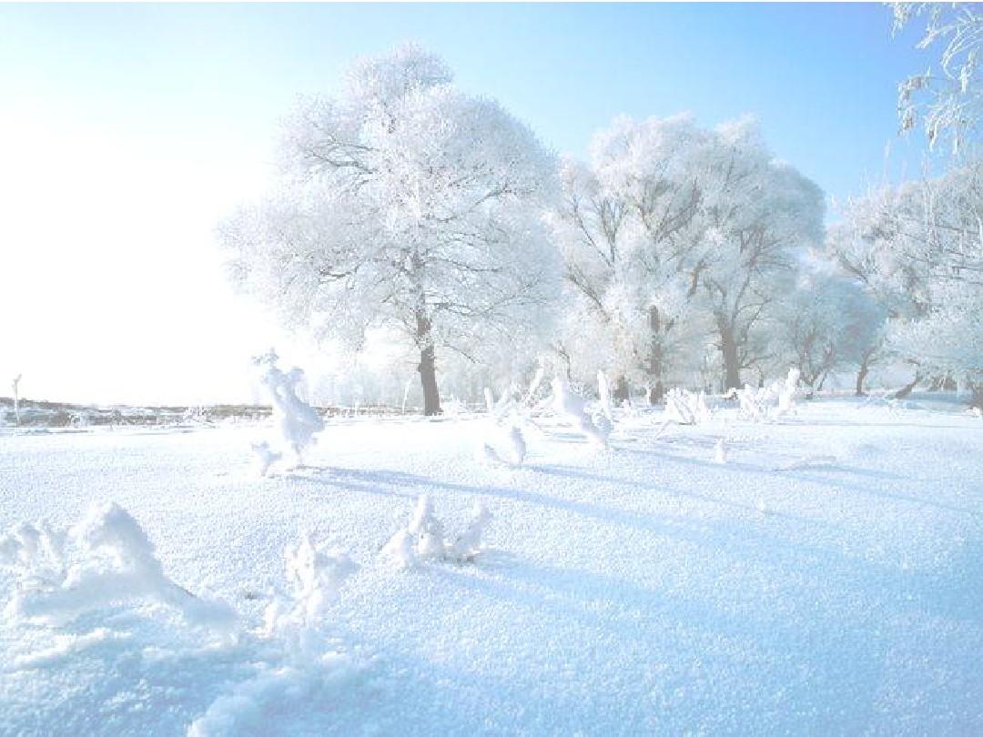 【丹枫】飘飞的雪花（诗歌）