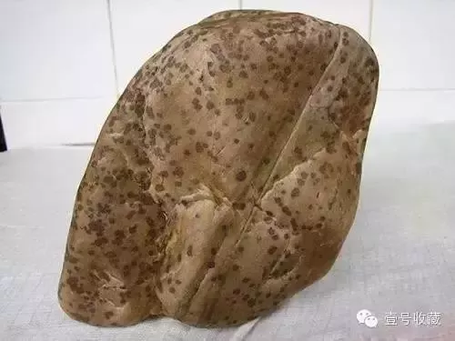 【荷塘】以石悟道，体味人生（散文）