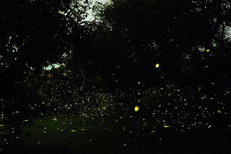 【江南】给爱披上夜幕（外二首）