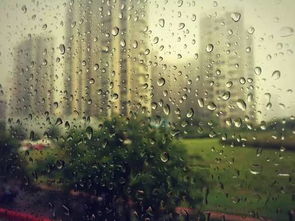 【八一】一场雨（外二首·家园）