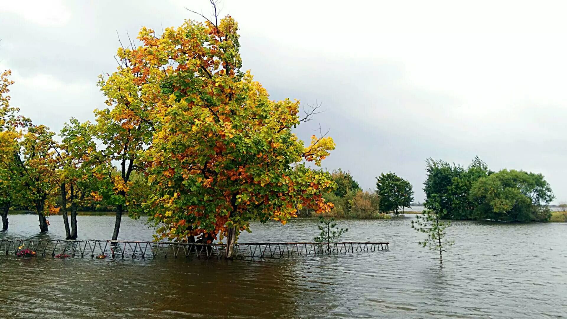 【轻舞】新雨之后是晴天（散文）