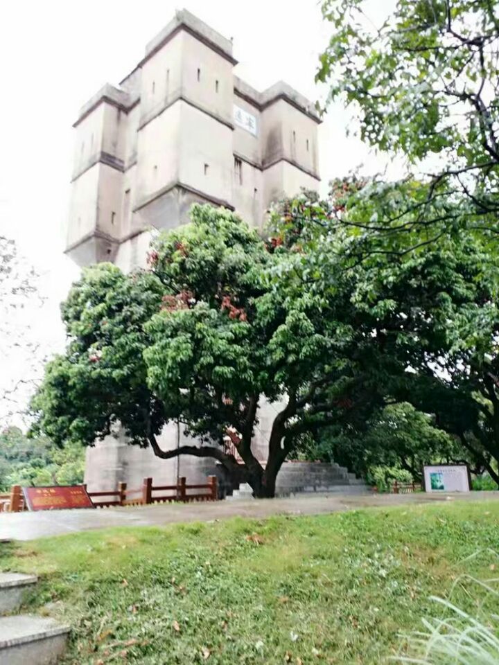 【丁香】传承传统文化，发展乡村旅游（散文）