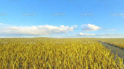 【八一】和庄稼说说话（散文）