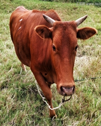 【短文】如何存在