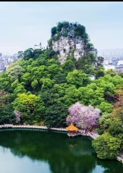 【东篱】登鱼峰山去（散文）