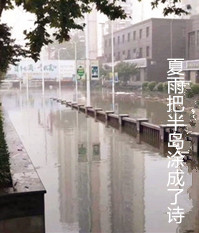 【东篱】半岛夏雨（散文）