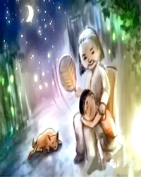 苦夏有清欢