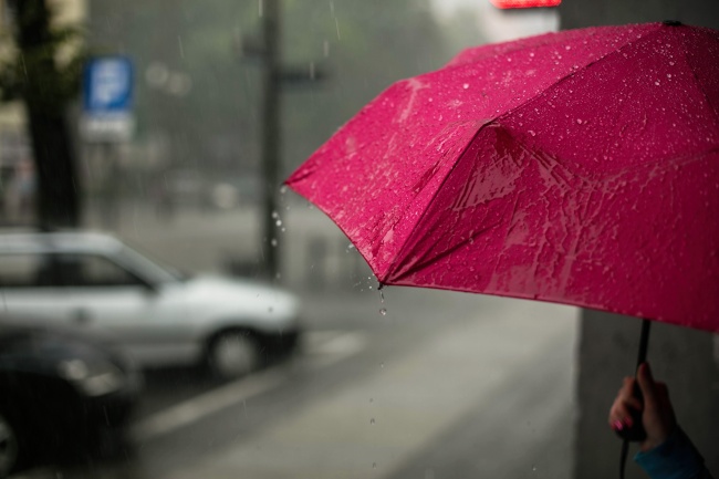 【八一】雨（组诗）