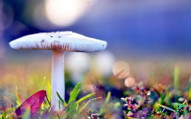 我的三生三世（记叙文）