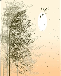 风