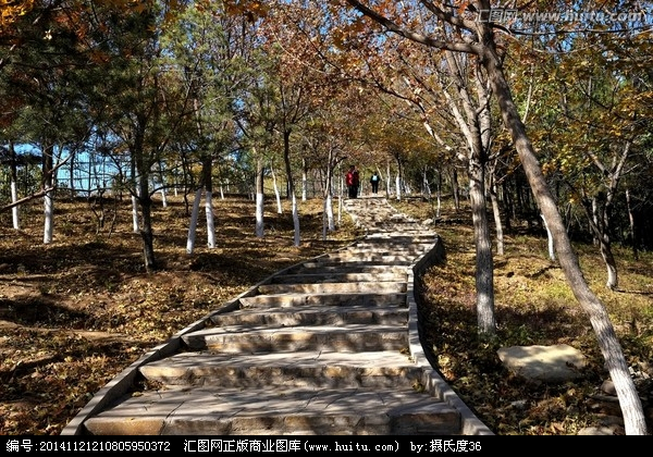 【丹枫】秋天的山野（外二首）