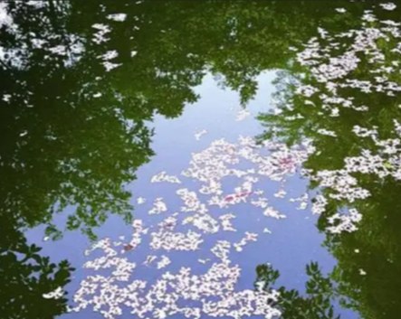 【酒家】镜中人（组诗）