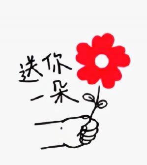 【流年·时光】红花荣誉（征文·散文）
