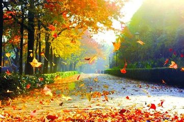 【星月】我在秋天等你（外二首）