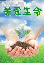 生命是宝贵的（随笔）