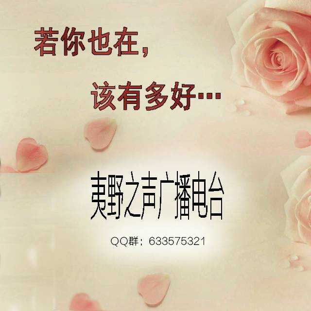 【菊韵】若你也在，该有多好（组诗）