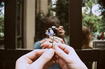 【丹枫】七年之诗（组诗）