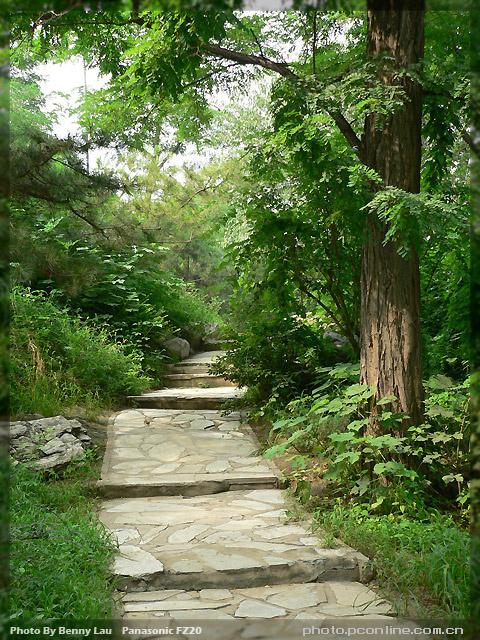 【摆渡·冬】七律四首（古韵）