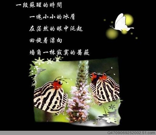【清韵】有一种柔韧来自低处（组诗）