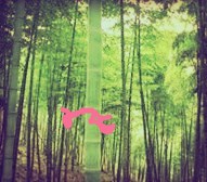 【天涯】老屋后的小竹林（散文）