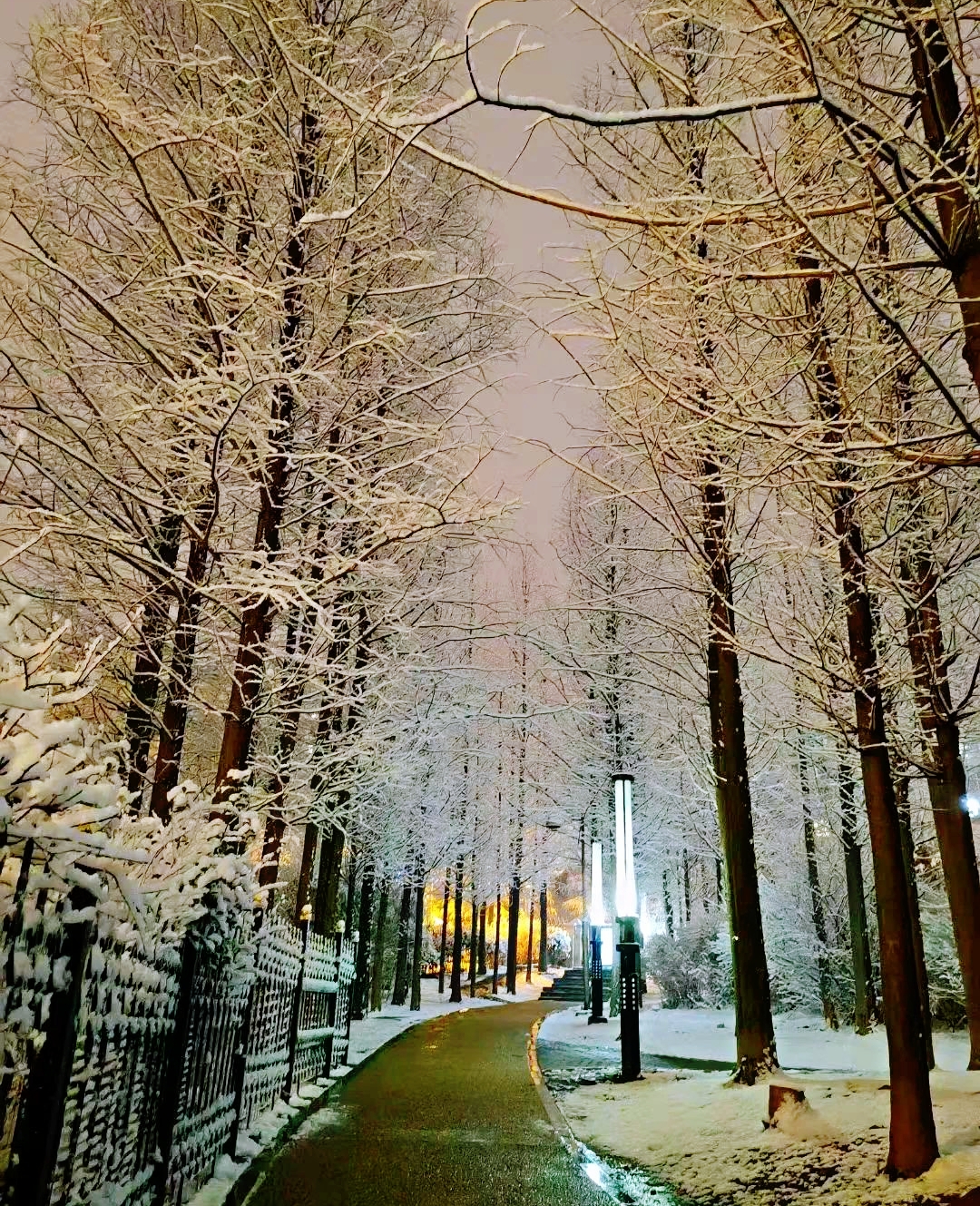 【宁静·启】三月梨花雪（散文）