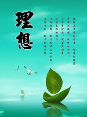 理想（随笔）