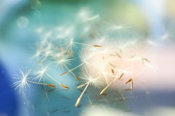 【江山宸光】我摸到诗歌里的一地血（中学组诗歌）