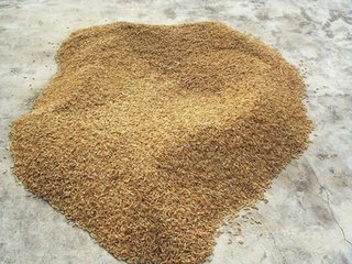 【流年】父亲的鞋 （微型小说）
