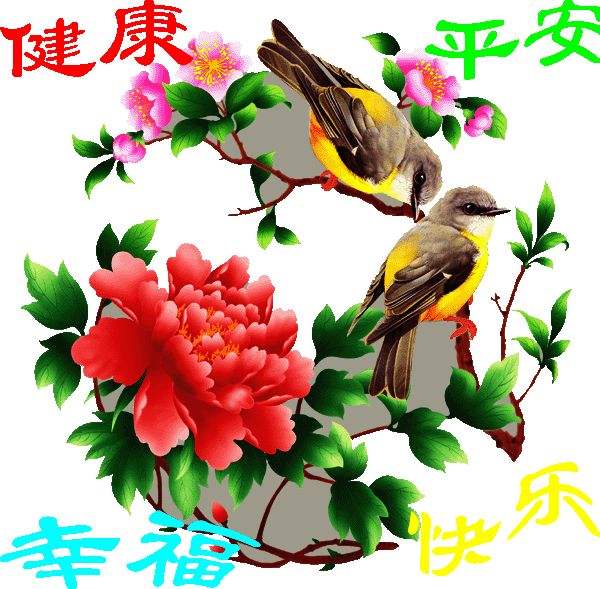 【冰心】人这一辈子（诗歌）