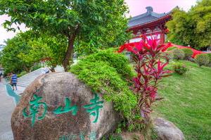 【八一】七律·登南山寺（古韵四首）