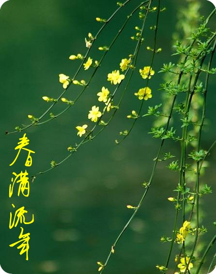 【江山·好声音】【流年】温暖的遇见（散文）