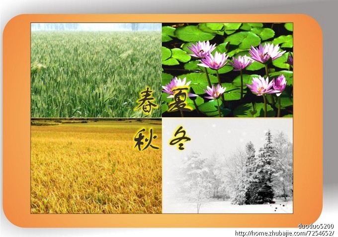 衿ļ ﶬ