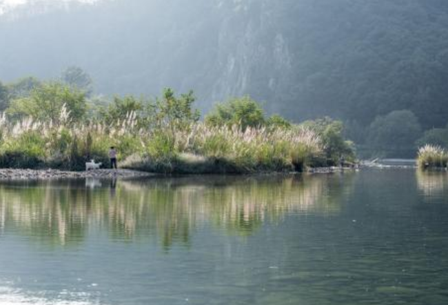 【八一】寻访绿水沱（散文·家园）